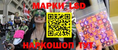 МДПВ Гусев