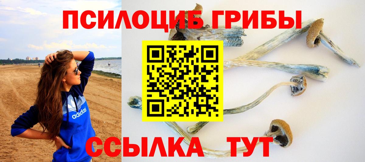 Новочеркасск  Галлюциногенные грибы Psilocybe  Вход с VPN 